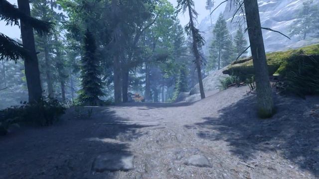 Демо новой сборки на Skyrim SE