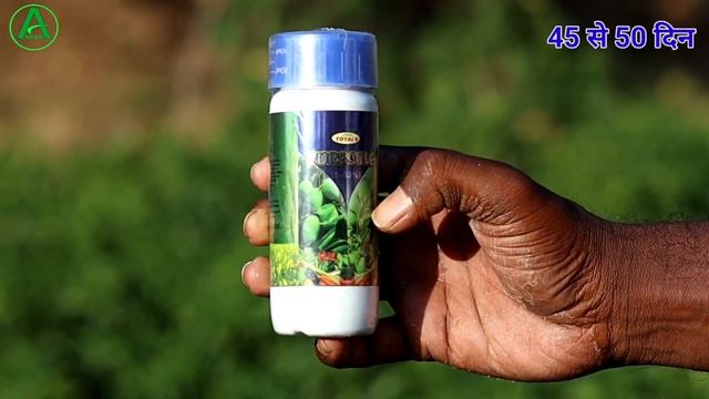 मिर्च में कौन कौन सी दवा का छिड़काव करें || Chilli Spray Schedule शुरू से लास्ट तक ?