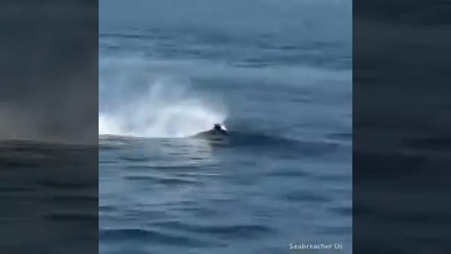 Dolphin Jet RC - Intro & Test Flight