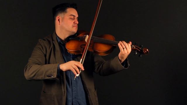 Violin Pros - Hofner Model 8E Viola Performance