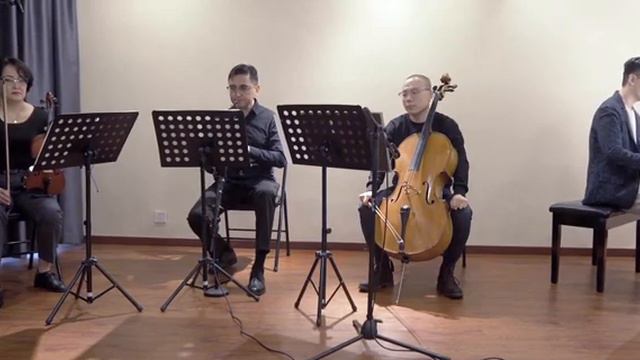 Mozart Sonata In D K311, 1st Movement