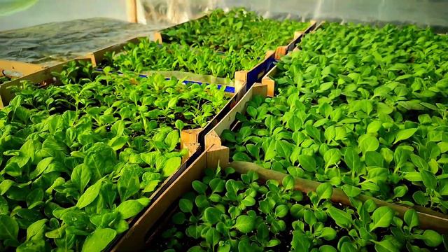 5484e9453db54e9e4732c1633268b815