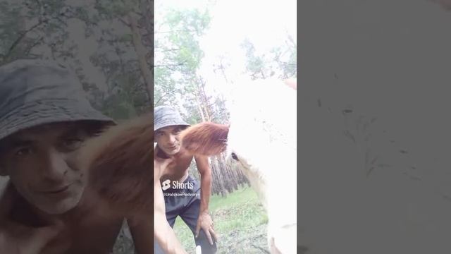 Милка хочет селфи