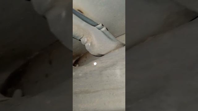 Nissan в гармонии