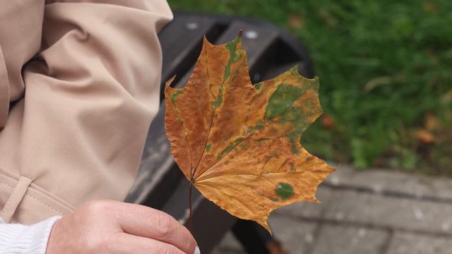Авторская песня 