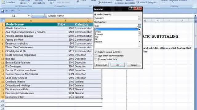 Automatic Subtotalling In Excel 2007 - Wingslive