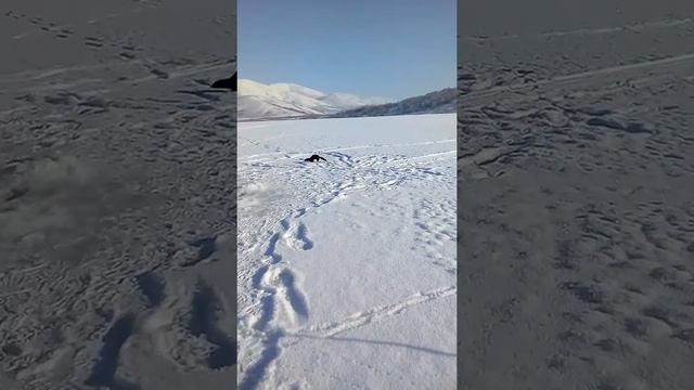 Норка в Крестовке!