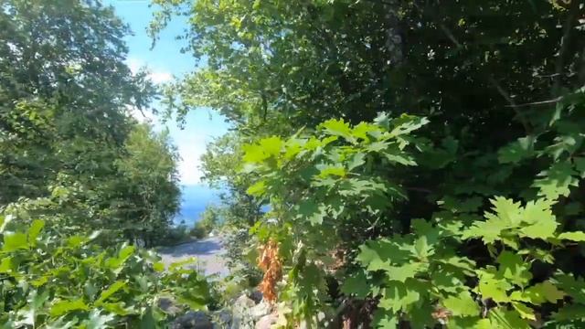 PULLED OVER ROMPING IN THE MOUNTAINS! | E85 FRS VS STAGE 2 GT86!