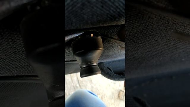 Жизнь в новом свете: преображение реальности