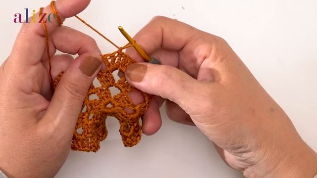 Alize Diva Ile Altıgen Hırka