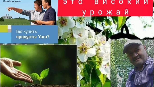 Удабрение-это высокий урожай.  част  1.