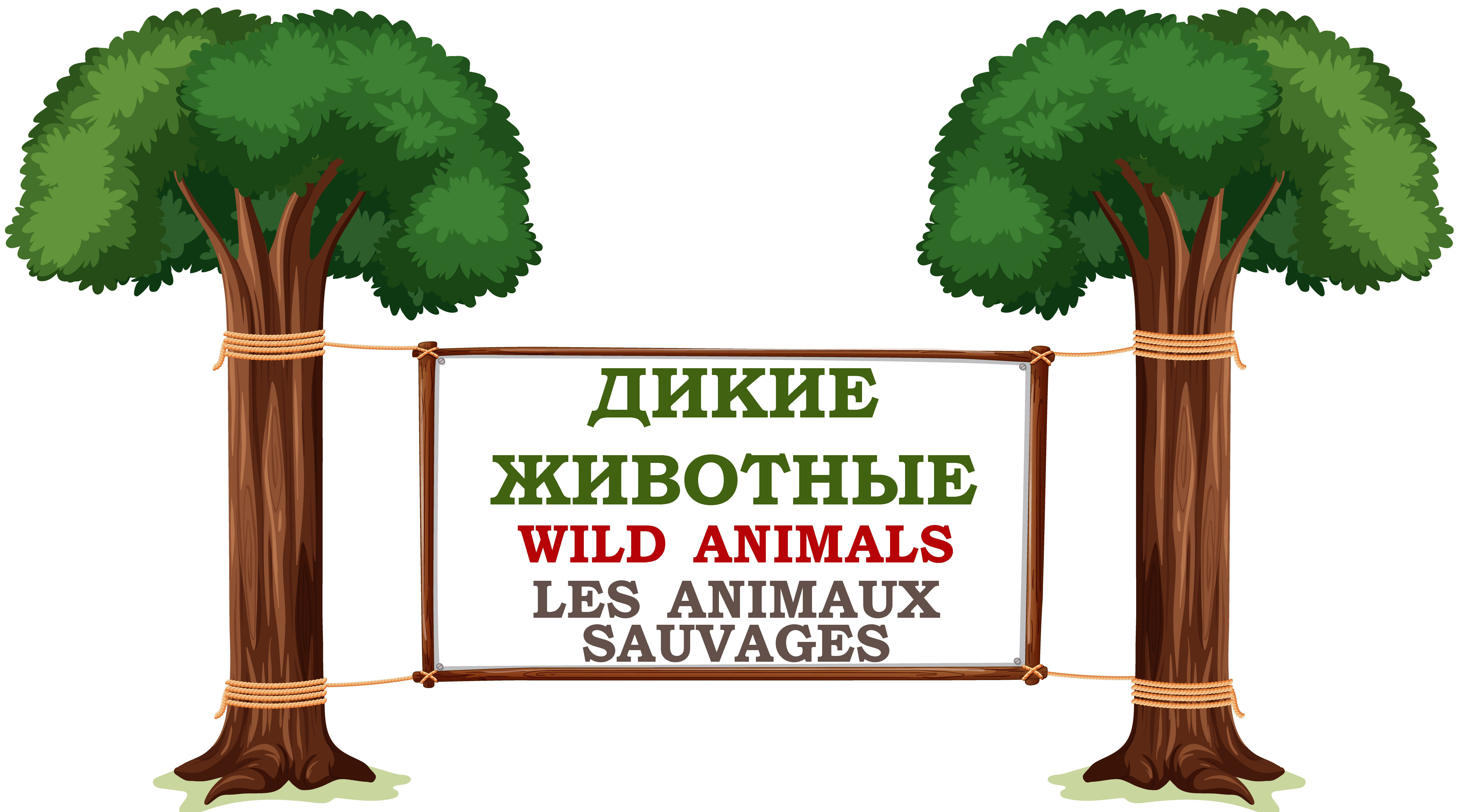 Wild Animals For Kids In Russian Vocabulary For Kids Les Animaux En Russe Дикие животные.