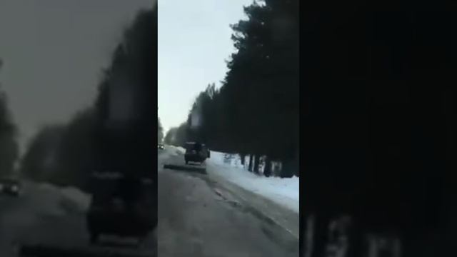 Погоня за черными лесорубами