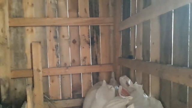 Как телята живут под навесом!