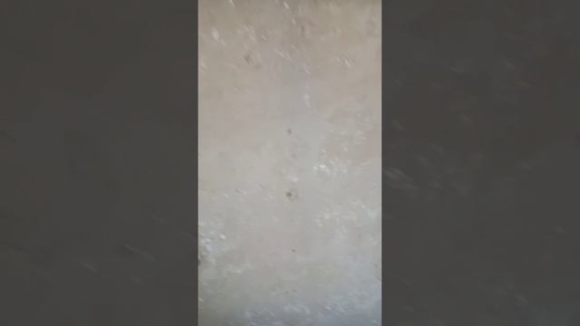 Наклейка обоев на 