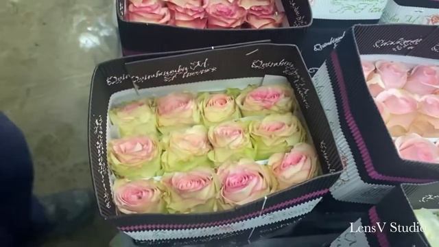 Quimbiamba Flowers -Finca De Rosa ? Процесс подготовки эквадорских роз, упаковка, на плантациях!