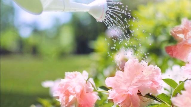 ?Стихи на праздник, универсальное поздравление?