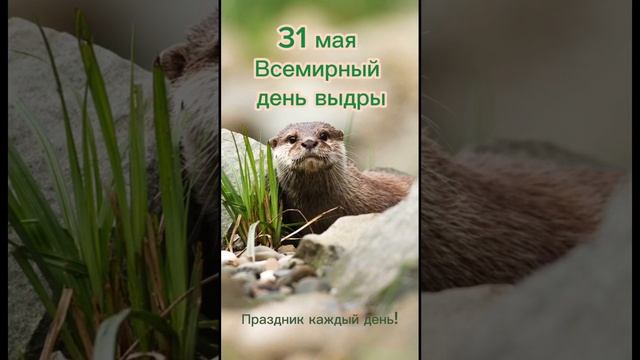 Веселый калейдоскоп идей