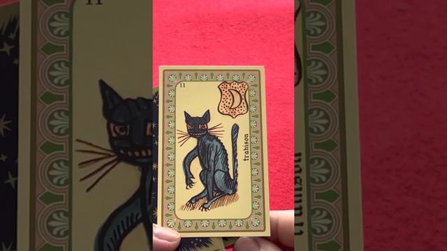 Убери эту тварь из своей жизни и будет тебе счастье. Карта дня.