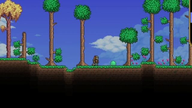 1ad6edcadab9f5e8884c1734ca9dedfb