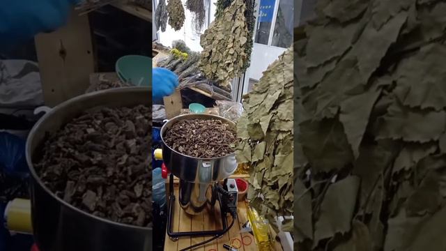 золотой сбор одуванчик, пырей, лопух