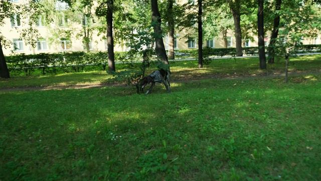 видео тест Sirui Sniper 16 F1.2