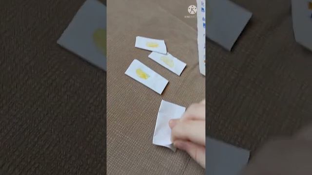 колегция птицы