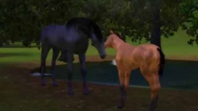 2539973b7ad4f831d2692b364f155c35