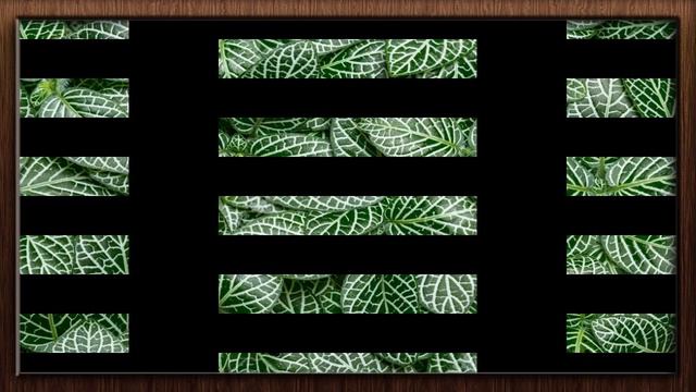 10 ESPÉCIE DE PLANTAS PARA FORRAÇÃO DE FLORES ESPETACULARES !!