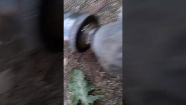 Ремонтный Мастер-Дизайнер