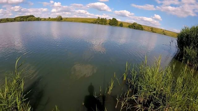 Как я поймал первого КАРПА. Рыбалка с папой и дедушкой.