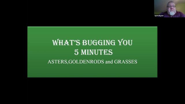 NYS Plant Regulations | Choosing Native Plants 2/2/2024