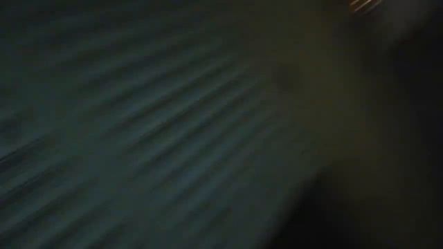 Владлен и его скрипка