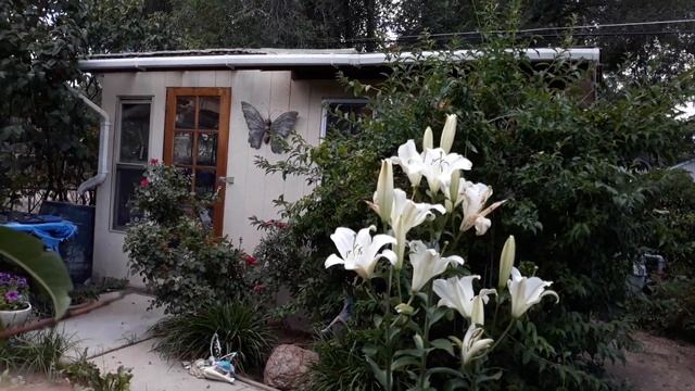 Что портит воздух, которым мы дышим, включая свой собственный дом.