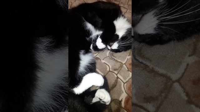 0bbd3f18239b4521bb0369b96cd62a49