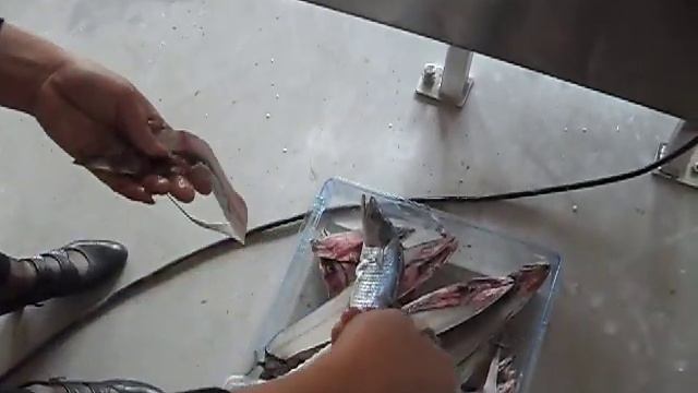 Fd013513c682b3f1e1321da4b8e517e5