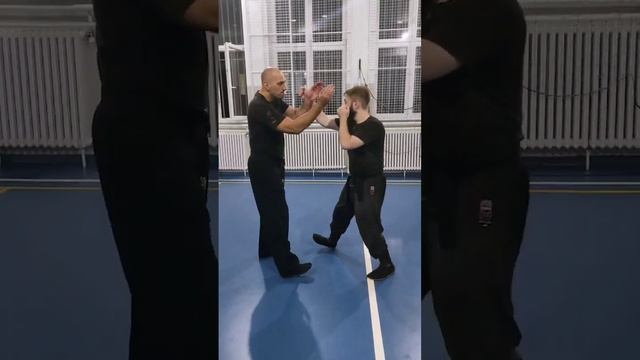 Seigan & Kosei Application Slow Version #ninjutsu #shadowwarrior #bujinkan #selfdefense #martialart