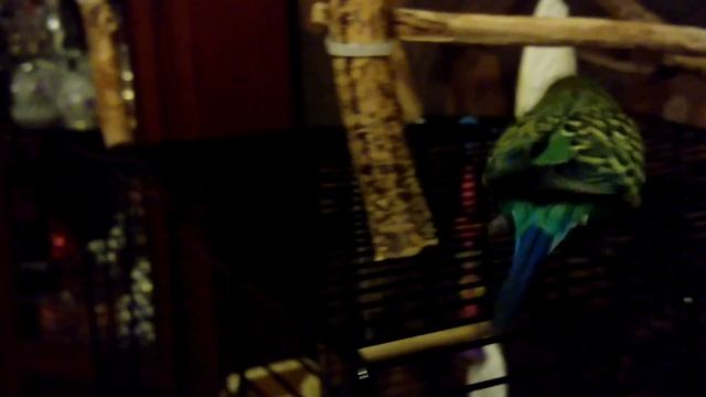 Cистемы управления проектами