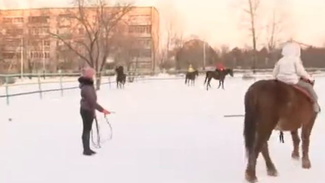 26d3ad66e9a6133c2407ea163413ee85