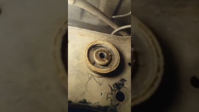 Мужская динамика