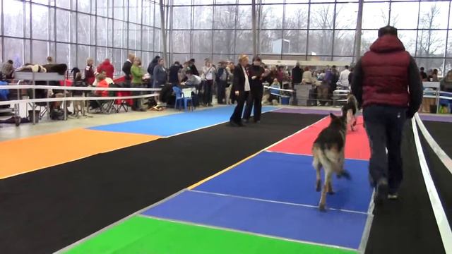 8a4e3c6650ad8bcf1885fd3767a02b09