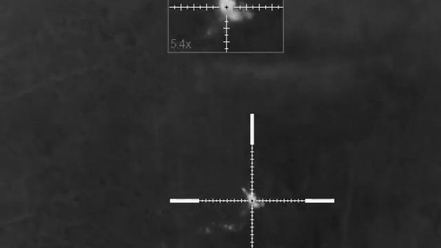 Охота на косулю с 22lr. / 22lr. Roe Deer Hunting.