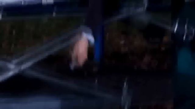 Doctor Who - Не вешать нос