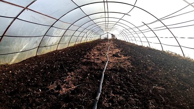 Ціни на ринку Великі Копані. 6 жовтня.