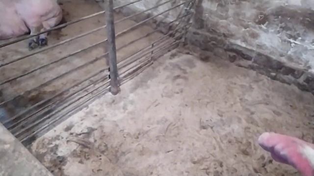 4473285c7794264833933e7ff265028d