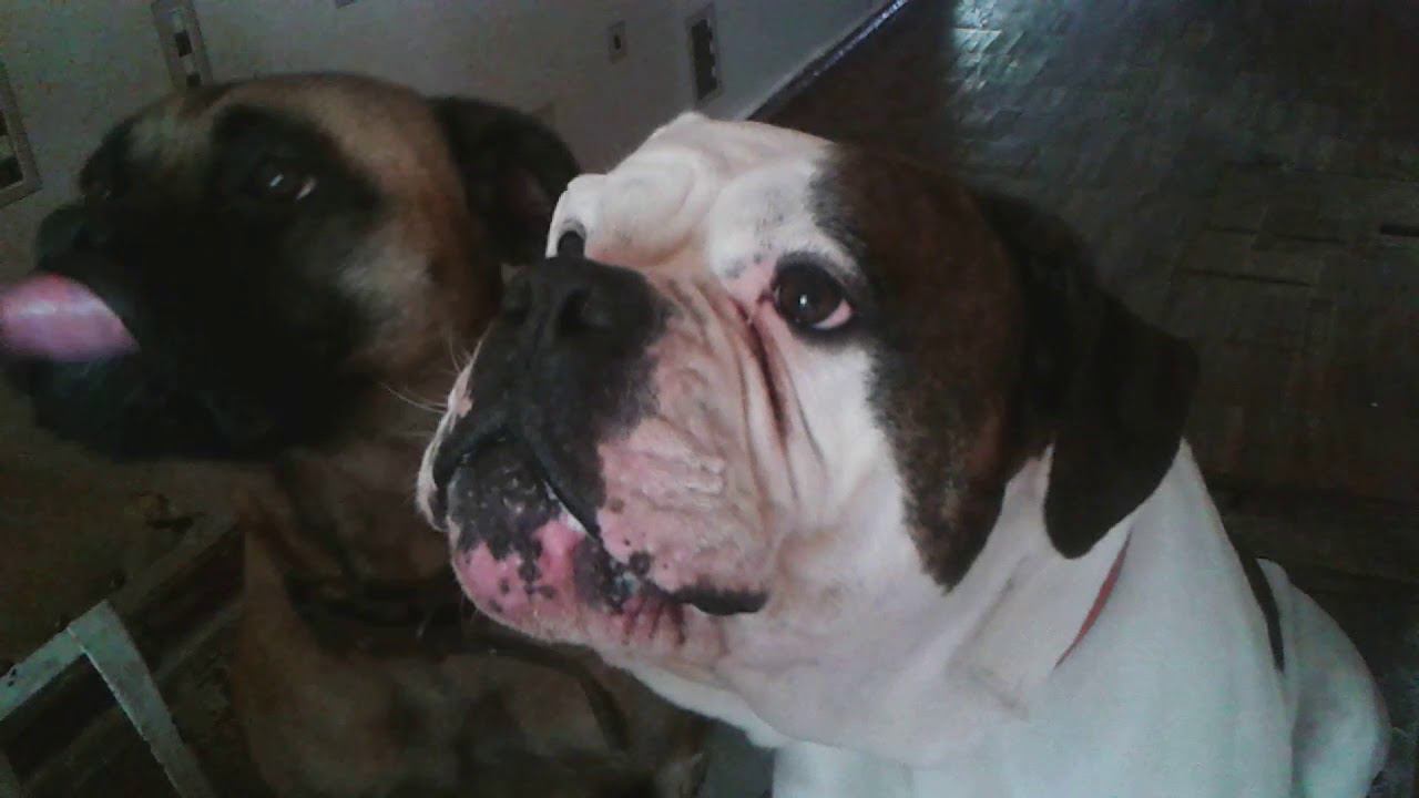 Мой Бумер. Говорит 