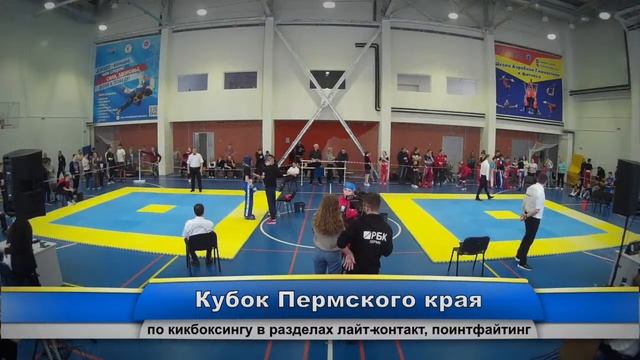 Кубок Пермского края по кикбоксингу в разделах лайт-контакт, поинтфайтинг