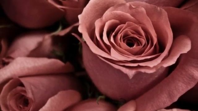 Царственная роза. Плед из шелковистой пряжи Модная расцветка, впишется в любой интерьер. В наличии.