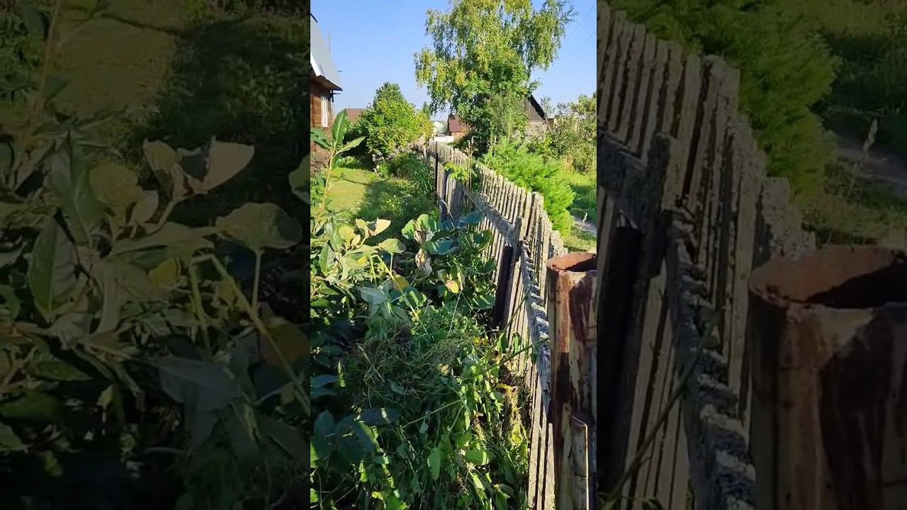 Пришло время. Убираем старый забор