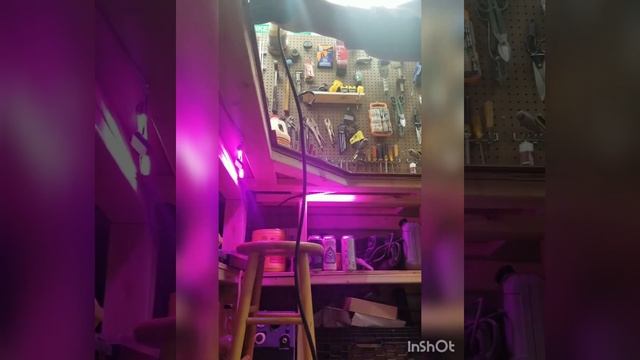 Wood Laminate Top For Work Bench